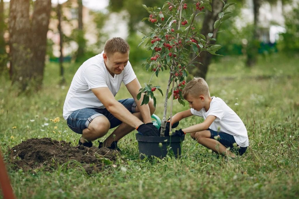 Incorporating Environmental Education in Schools. Preparing Students for a Sustainable Future